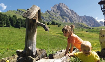 Weg der Teufelskralle